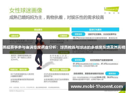 英超赛事参与者满意度调查分析：球员教练与球迷的多维度反馈及其影响