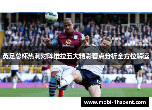 英足总杯热刺对阵维拉五大精彩看点分析全方位解读 英足总杯热刺对阵维拉五大精彩看点分析全方位解读