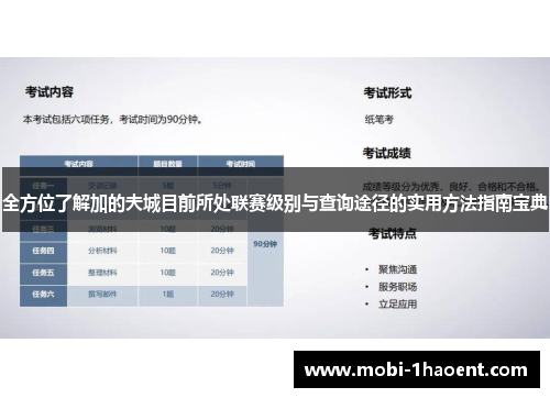 全方位了解加的夫城目前所处联赛级别与查询途径的实用方法指南宝典 全方位了解加的夫城目前所处联赛级别与查询途径的实用方法指南宝典