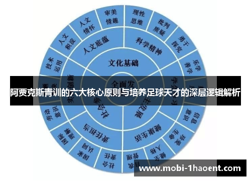 阿贾克斯青训的六大核心原则与培养足球天才的深层逻辑解析