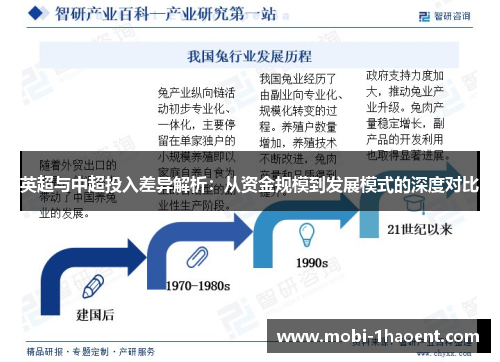 英超与中超投入差异解析：从资金规模到发展模式的深度对比