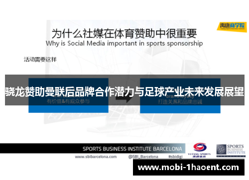 骁龙赞助曼联后品牌合作潜力与足球产业未来发展展望 骁龙赞助曼联后品牌合作潜力与足球产业未来发展展望